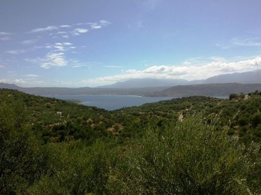 Abgeschiedenes Grundstück mit Oliven und Meerblick