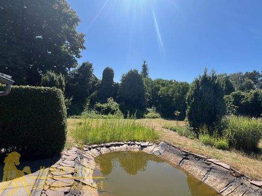 Gemeinschaftlicher Teich