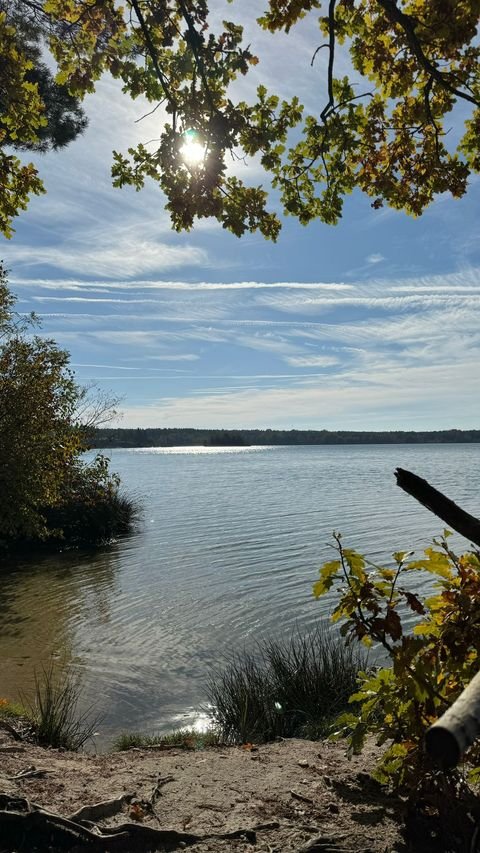 Steinberg am See Wohnungen, Steinberg am See Wohnung kaufen