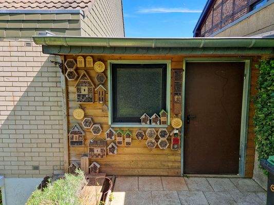 Hintereingang zur Garage