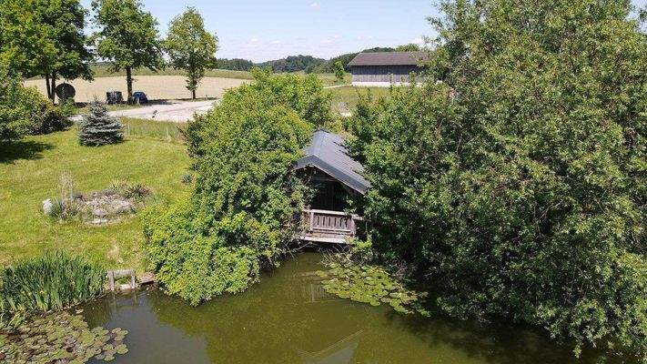 Foto Mai 25 während der Vegetation