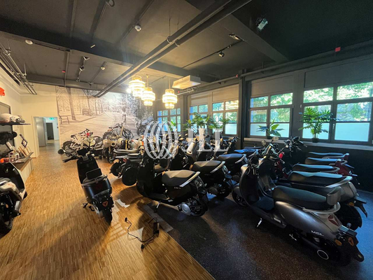 Innenansicht Showroom 