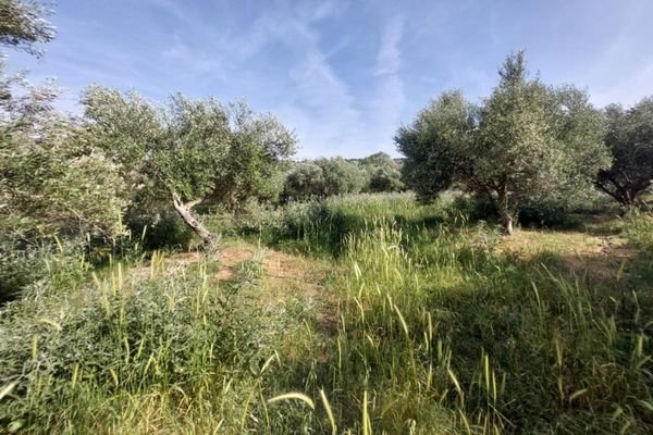 Kreta, Armeni Chania: Grundstück mit Bergblick zum Verkauf in Armenoi