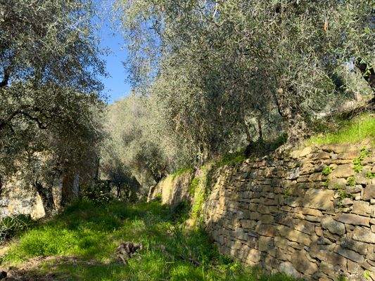 DA959_15 TERRA ITALIA IMMOBILIEN_LIGURIEN_STONE HO