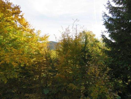 bepflanztes Grundstück 