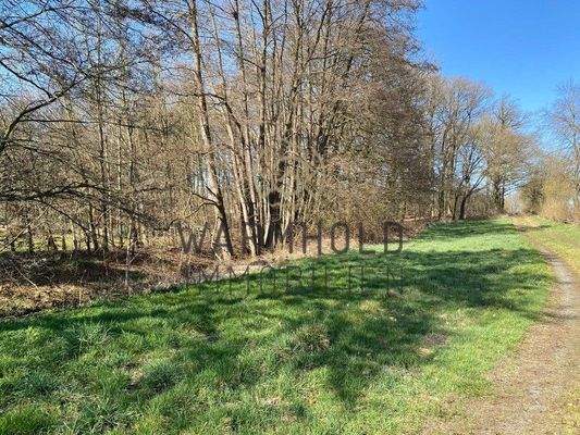 Weg zum Grundstück hinten