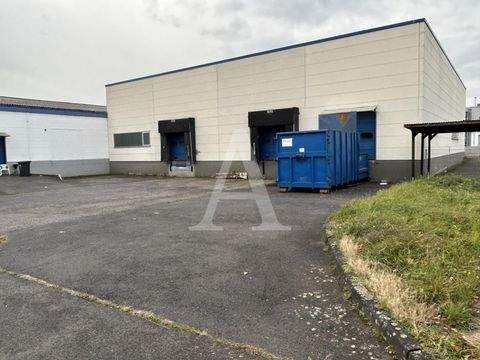 Kerpen Halle, Kerpen Hallenfläche