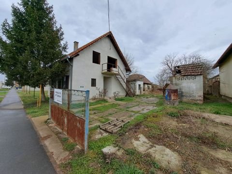 Ernestinovo Häuser, Ernestinovo Haus kaufen
