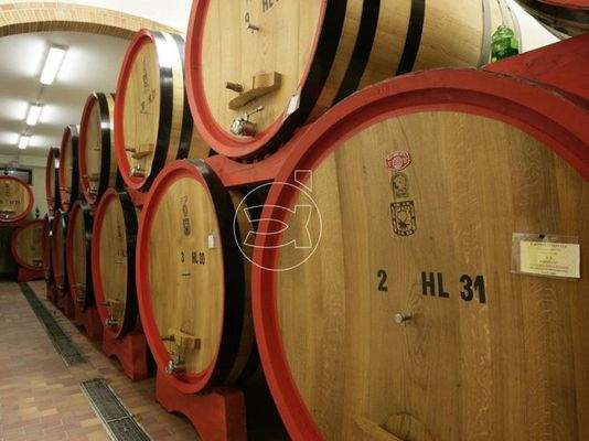 Eindrucksvolle Villa | Montalcino