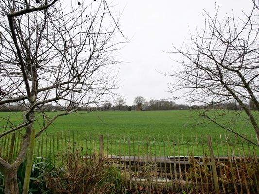 Blick in die weitläufigen Felder