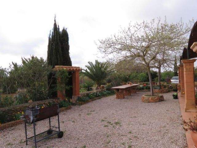 Wer die Ruhe sucht... ist hier richtig! Finca auf ca. 6000 m² Land