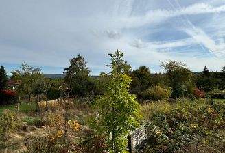 IMG-20241115-WA0003 (002).jpg