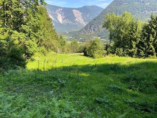 Landwitschaftliche Grundfläche