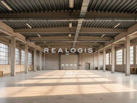 Stuttgart Halle, Stuttgart Hallenfläche