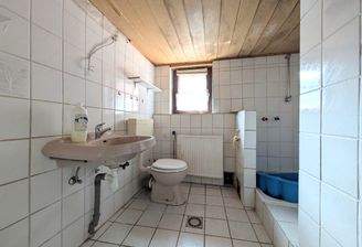 Bad Haus OG.jpg
