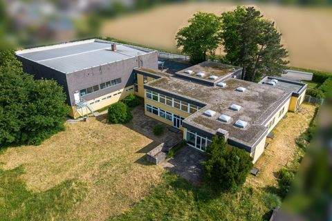 Eitorf Halle, Eitorf Hallenfläche