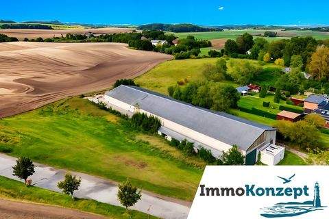 Satow Halle, Satow Hallenfläche