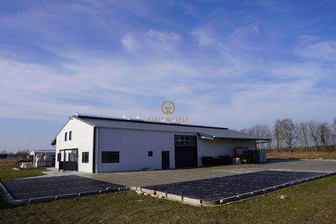 Walsrode Halle, Walsrode Hallenfläche