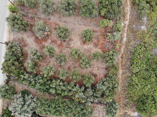 Kreta, Almyrida: Grundstück mit Baurechten und Meerblick zu verkaufen