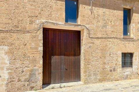 Alcudia Halle, Alcudia Hallenfläche