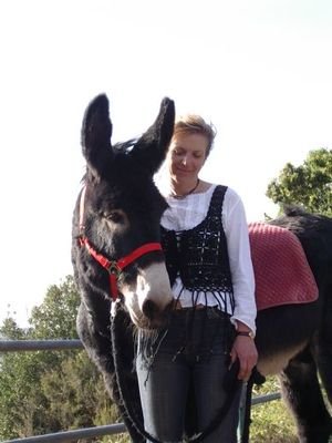 Bild 16