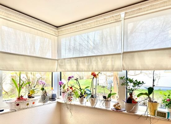 Fensterfront im Wohnzimmer