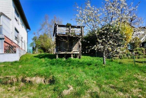 Teilbereich vom Garten