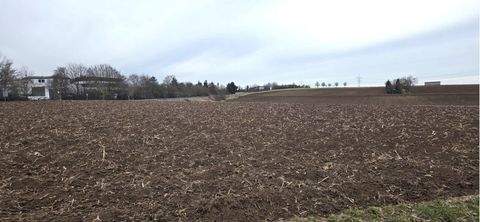 Stuttgart Bauernhöfe, Landwirtschaft, Stuttgart Forstwirtschaft