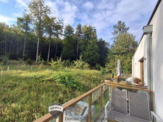 12 Balkon mit Waldblick ETW 3004