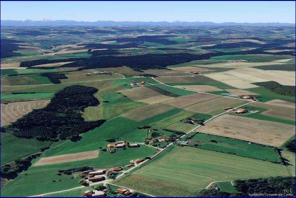 ICC - Immobilien Competence Center - Google Earth