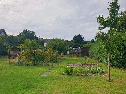 Teilansicht Garten (3)