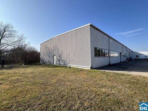 Margarethen am Moos Halle, Margarethen am Moos Hallenfläche