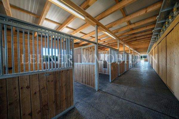 Lehner Immobilien Bild 84