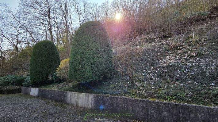 TEIL des Aussenbereiches - Terrasse