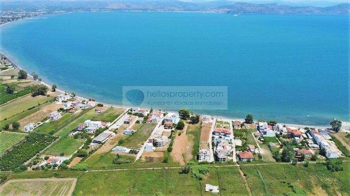 c0865c3702304bf8b3ce79ddaa58c137-original