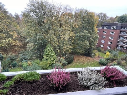 Blick vom Balkon in den Billepark