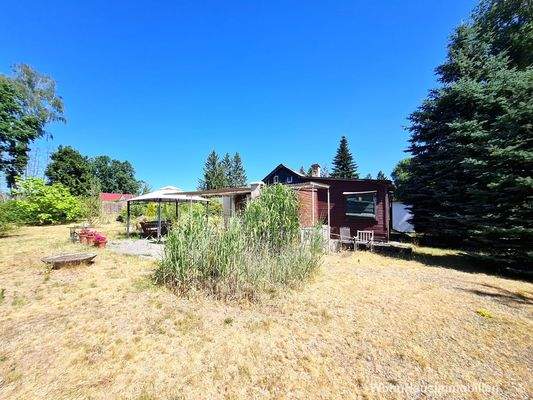 Altbestand am Grenzverlauf