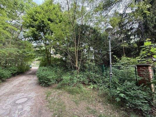 Blick vom Waldweg zur Straße