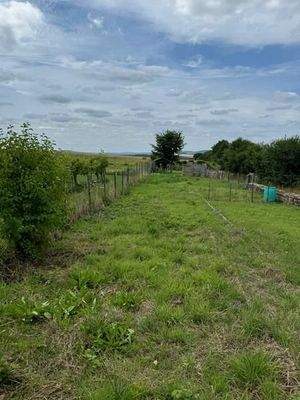 9 separater Garten (4)