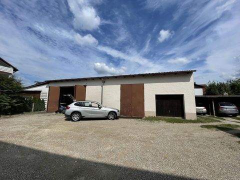 Barbing Halle, Barbing Hallenfläche