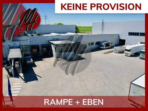 Alzey Halle, Alzey Hallenfläche