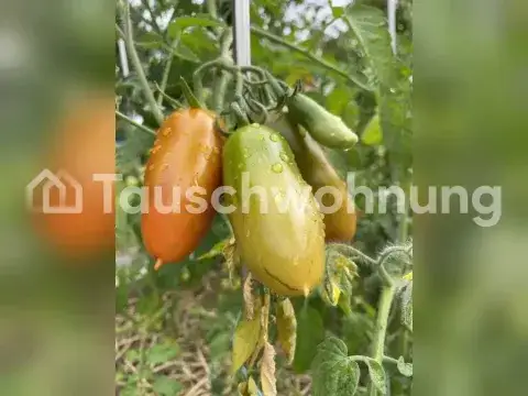 Bergheim Wohnungen, Bergheim Wohnung mieten