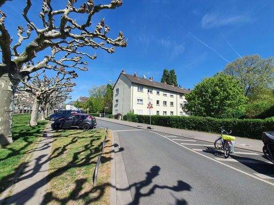 08 Lage Schöne Alle mit Parkpl