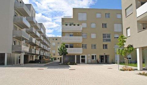 Wien Wohnungen, Wien Wohnung mieten