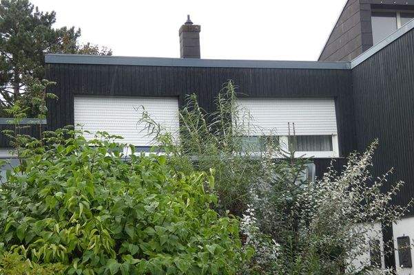 3058 Ansicht vom Garten (2)