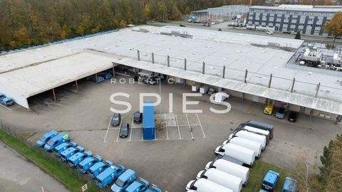 Oldenburg Halle, Oldenburg Hallenfläche