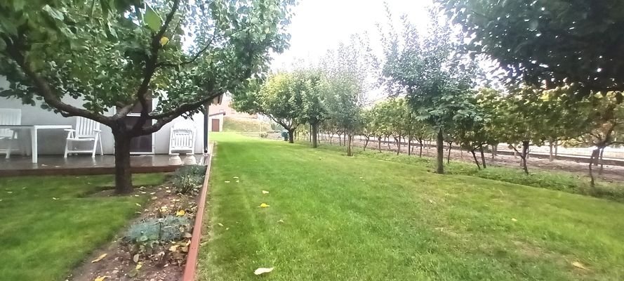20241002_100509.jpg