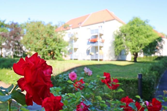 Rosenhöfe - ruhige Wohnlage in Wahren - 2-Raumwohnung - Balkon - Parkett