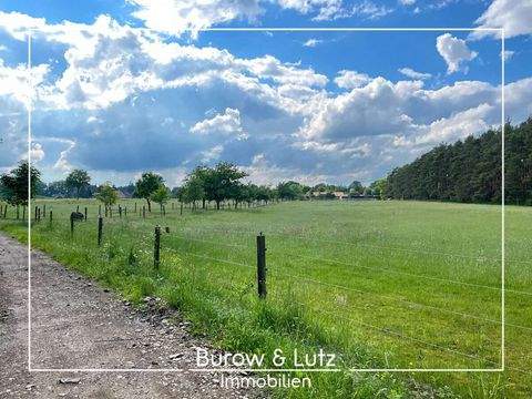 Schwarmstedt Bauernhöfe, Landwirtschaft, Schwarmstedt Forstwirtschaft