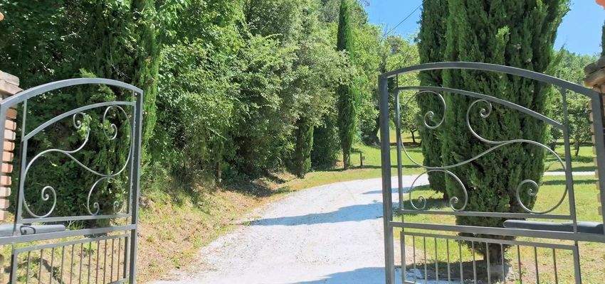 PHOTO-2025-05-26-20-54-24 2.jpg